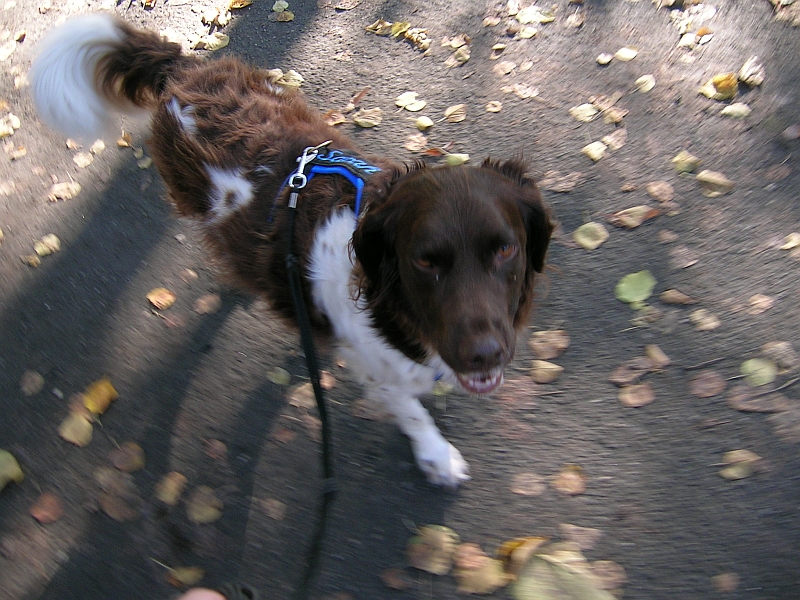 Sarah hat Langeweile